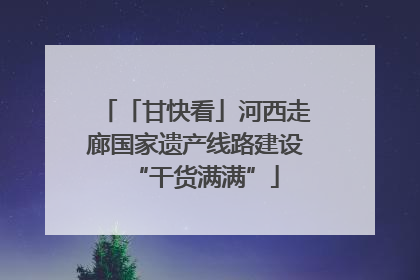 「甘快看」河西走廊国家遗产线路建设“干货满满”