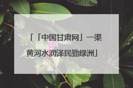 「中国甘肃网」一渠黄河水润泽民勤绿洲