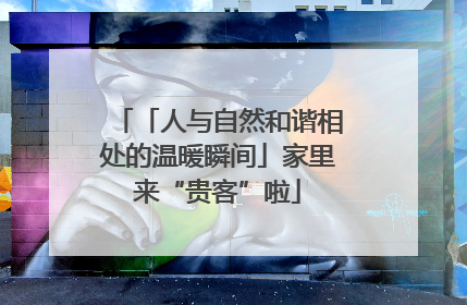 「人与自然和谐相处的温暖瞬间」家里来“贵客”啦