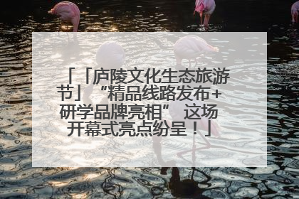 「庐陵文化生态旅游节」“精品线路发布+研学品牌亮相” 这场开幕式亮点纷呈！