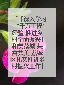「深入学习“千万工程”经验 推进乡村全面振兴」和美荔城 共富共美 荔城区扎实推进乡村振兴工作