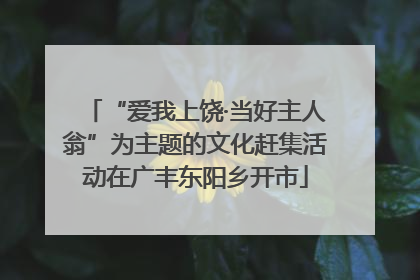 “爱我上饶·当好主人翁”为主题的文化赶集活动在广丰东阳乡开市