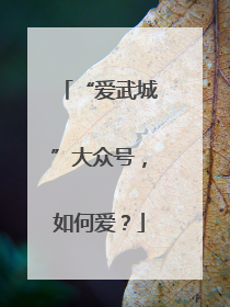 “爱武城”大众号，如何爱？