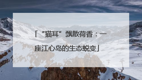 “猫耳”飘散荷香：一座江心岛的生态蜕变