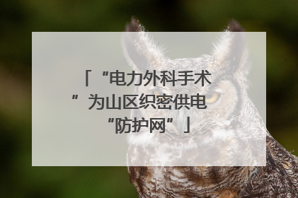 “电力外科手术”为山区织密供电“防护网”