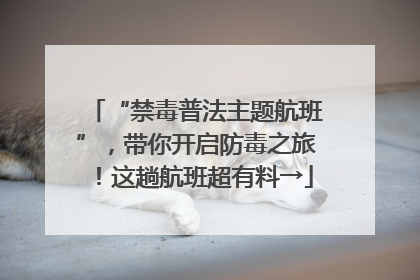 “禁毒普法主题航班”，带你开启防毒之旅！这趟航班超有料→