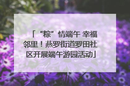 “粽”情端午 幸福邻里！燕罗街道罗田社区开展端午游园活动