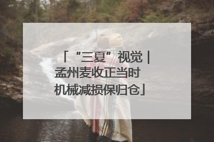 “三夏”视觉｜孟州麦收正当时 机械减损保归仓