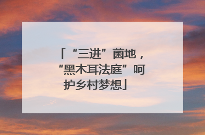 “三进”菌地，“黑木耳法庭”呵护乡村梦想