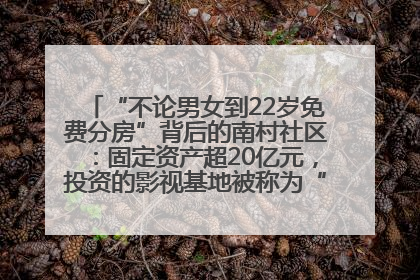 “不论男女到22岁免费分房”背后的南村社区：固定资产超20亿元，投资的影视基地被称为“山村好莱坞”