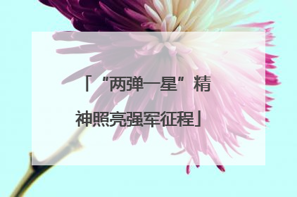 “两弹一星”精神照亮强军征程