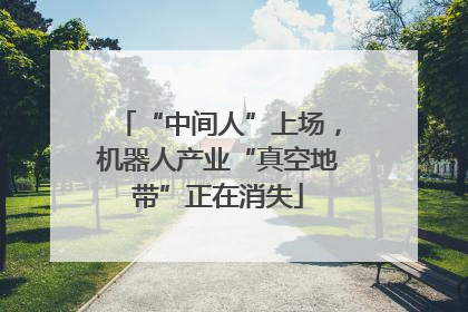 “中间人”上场，机器人产业“真空地带”正在消失