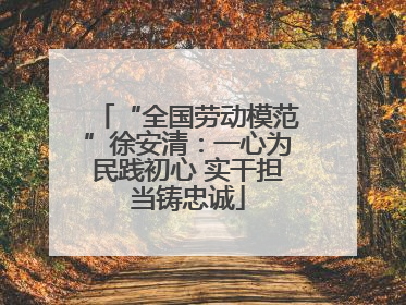 “全国劳动模范”徐安清：一心为民践初心 实干担当铸忠诚
