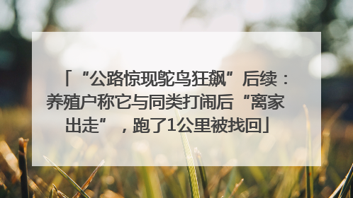 “公路惊现鸵鸟狂飙”后续：养殖户称它与同类打闹后“离家出走”，跑了1公里被找回