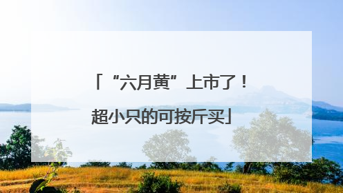 “六月黄”上市了！超小只的可按斤买