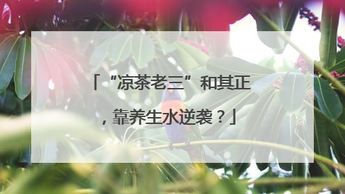 “凉茶老三”和其正，靠养生水逆袭？
