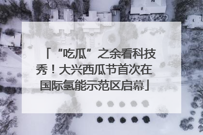 “吃瓜”之余看科技秀！大兴西瓜节首次在国际氢能示范区启幕