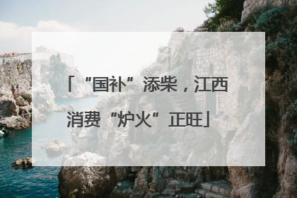 “国补”添柴，江西消费“炉火”正旺