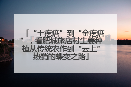 “土疙瘩”到“金疙瘩”，看肥城旅店村生姜种植从传统农作到“云上”热销的蝶变之路