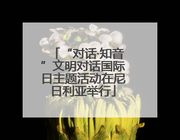 “对话·知音”文明对话国际日主题活动在尼日利亚举行