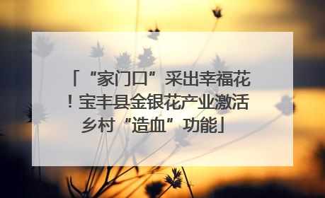 “家门口”采出幸福花！宝丰县金银花产业激活乡村“造血”功能