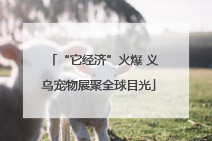 “它经济”火爆 义乌宠物展聚全球目光