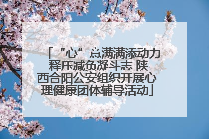“心”意满满添动力 释压减负凝斗志 陕西合阳公安组织开展心理健康团体辅导活动