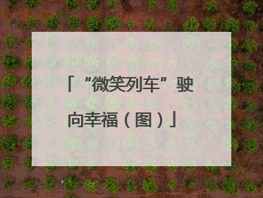 “微笑列车”驶向幸福（图）