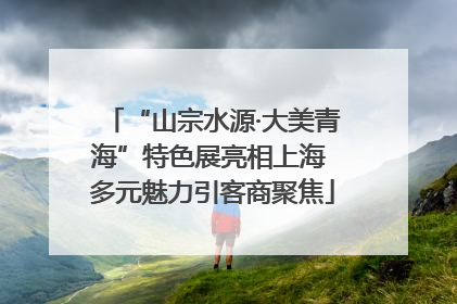 “山宗水源·大美青海”特色展亮相上海 多元魅力引客商聚焦