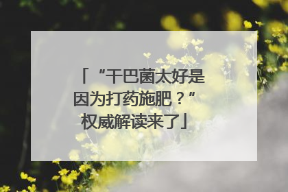 “干巴菌太好是因为打药施肥？”权威解读来了