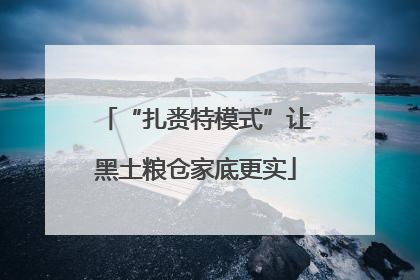 “扎赉特模式”让黑土粮仓家底更实