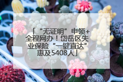 “无证明”申领+全程网办！岱岳区失业保险“一键直达”惠及5408人