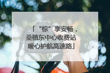 “棕”享安畅，桑植东中心收费站暖心护航高速路