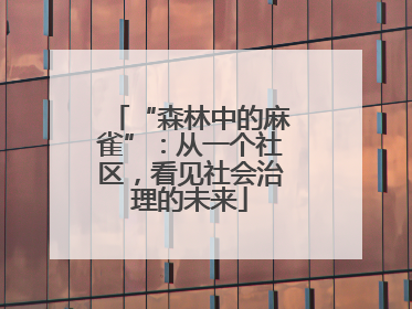 “森林中的麻雀”：从一个社区，看见社会治理的未来