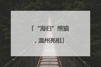 “海归”熊猫，温州亮相