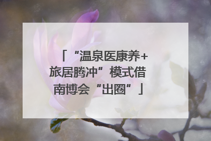 “温泉医康养+旅居腾冲”模式借南博会“出圈”