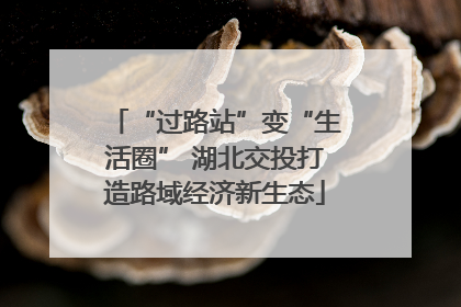 “过路站”变“生活圈” 湖北交投打造路域经济新生态