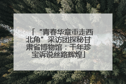 “青春华章重走西北角”采访团探秘甘肃省博物馆：千年珍宝诉说丝路辉煌