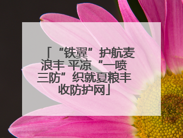 “铁翼”护航麦浪丰 平凉“一喷三防”织就夏粮丰收防护网