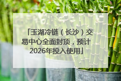 玉湖冷链（长沙）交易中心全面封顶，预计2026年投入使用