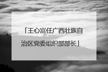 王心富任广西壮族自治区党委组织部部长