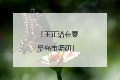 王正谱在秦皇岛市调研