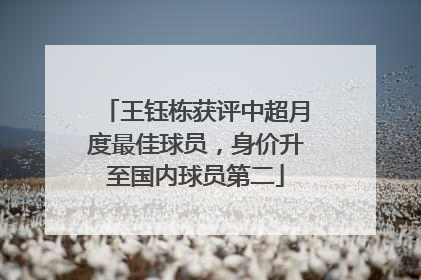 王钰栋获评中超月度最佳球员，身价升至国内球员第二