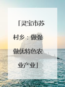 灵宝市苏村乡：做强做优特色农业产业