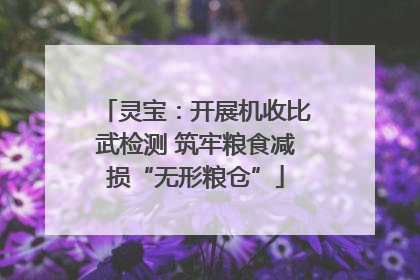 灵宝：开展机收比武检测 筑牢粮食减损“无形粮仓”