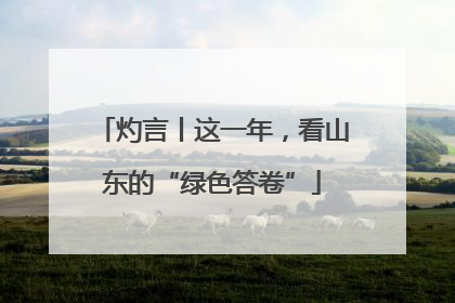 灼言丨这一年，看山东的“绿色答卷”