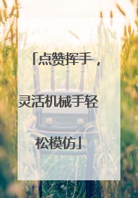 点赞挥手，灵活机械手轻松模仿