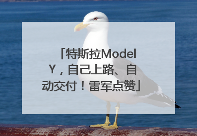 特斯拉Model Y，自己上路、自动交付！雷军点赞
