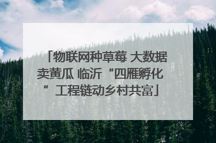 物联网种草莓 大数据卖黄瓜 临沂“四雁孵化”工程链动乡村共富