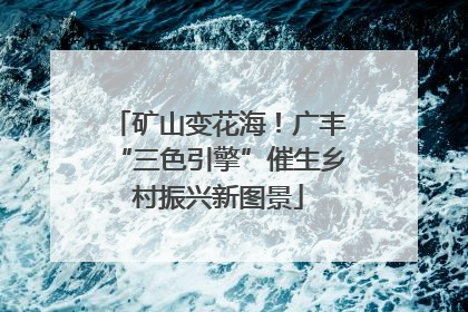 矿山变花海！广丰“三色引擎”催生乡村振兴新图景